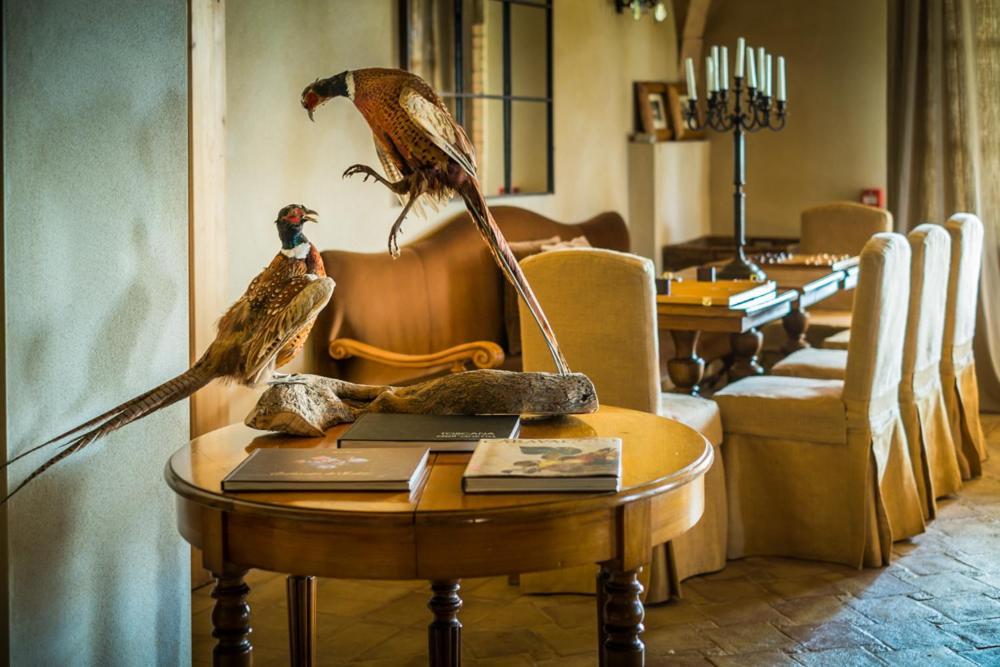 Relais Sant'Elena Bed & Breakfast Bibbona Ngoại thất bức ảnh